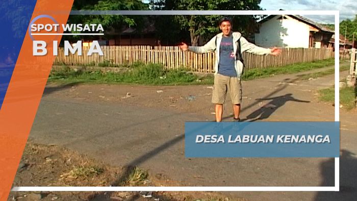 Kawanan Sapi dan Savana Luas Memagari Desa Labuan Kenanga Bima Nusa Tenggara