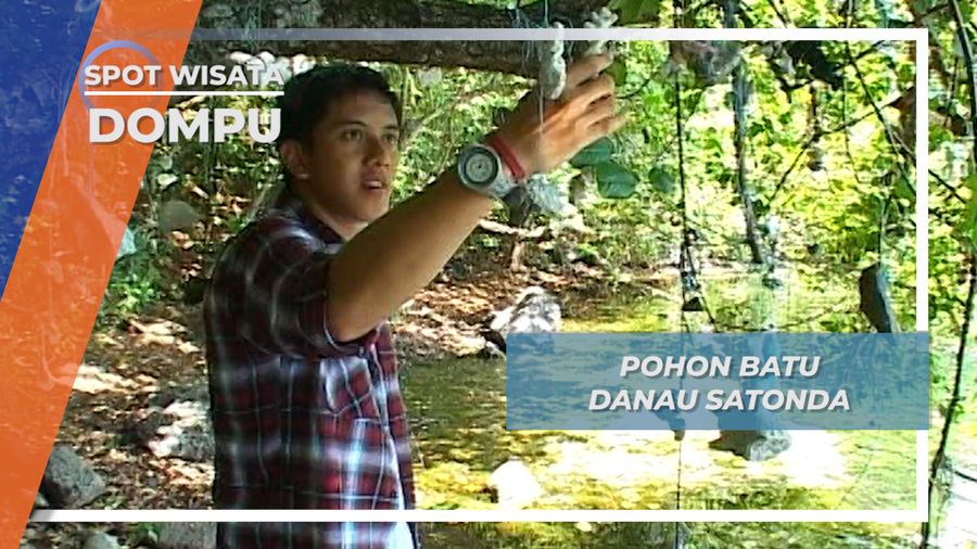 Pohon Ber Batu, Mengharap Keinginan di Danau AIr Asin Satonda Dompu