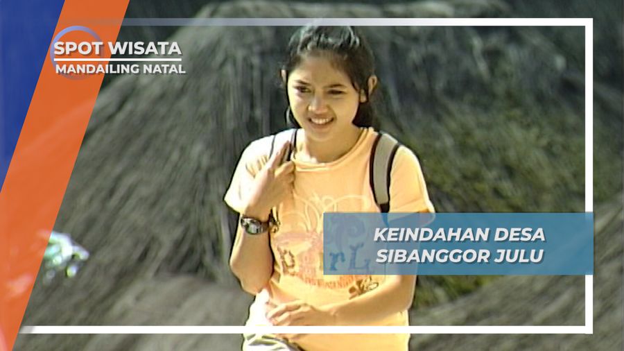 Desa Sibanggor Julu, Mandailing Natal, Mantan Setra Jeruk Sumatera Utara Yang Terkenal