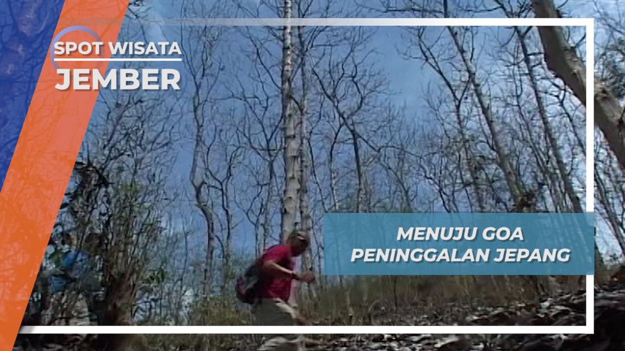 Goa Jepang Tanjung Papuma Jember, Berpagar Batu Batu Besar Di Laut Selatan Jawa Timur