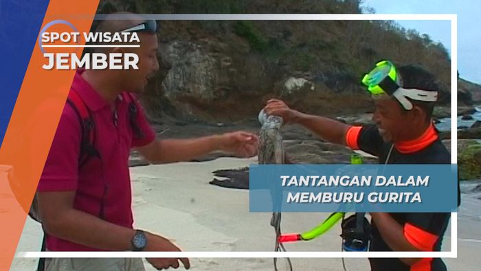 Bertemu Pemburu Gurita dan Buruannya di Tanjung Papuma Jember