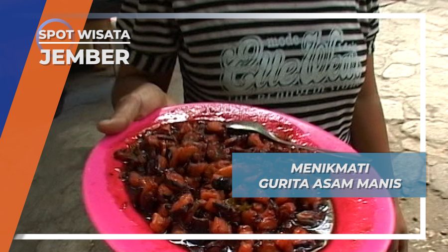Gurita Asam Manis, Santap Siang Ditemani Biawak Tanjung Papuma Jember