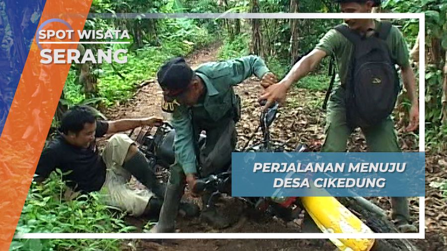 Desa Cikedung Dekat Di Hati, Jauh Dilalui Dari Serang Via Padarincang 