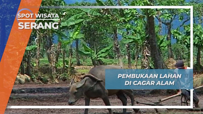 Cagar Alam Warga Untuk Bertani, Serang, Banten