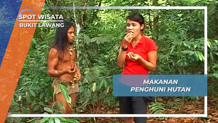 Rambai Hutan, Makanan Favorit Para Penghuni Hutan Bukit Lawang, Sumatera Utara