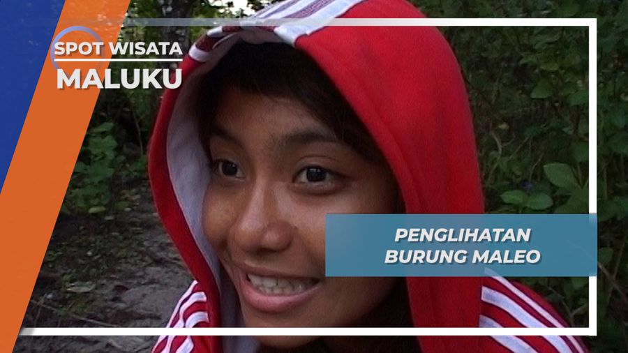 Ketajaman Penglihatan Burung Maleo, Maluku