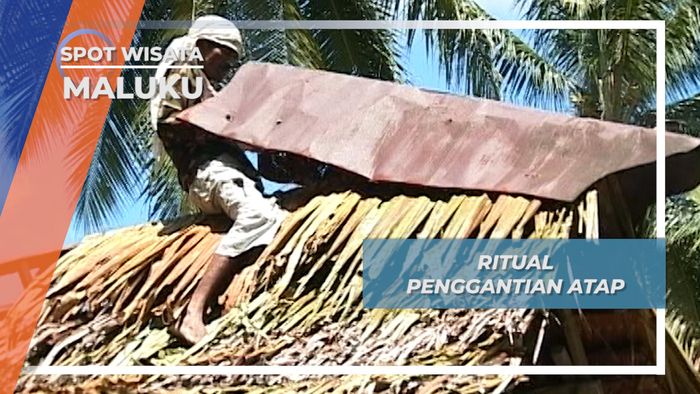  Sisi Atap, Ritual Adat Penggantian Atap Desa Kabauw, Maluku