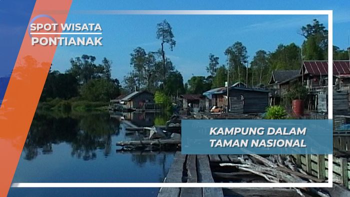 Danau Sentarum, Kawasan Gambut Purba Kalimantan Yang Menjadi Taman Nasional