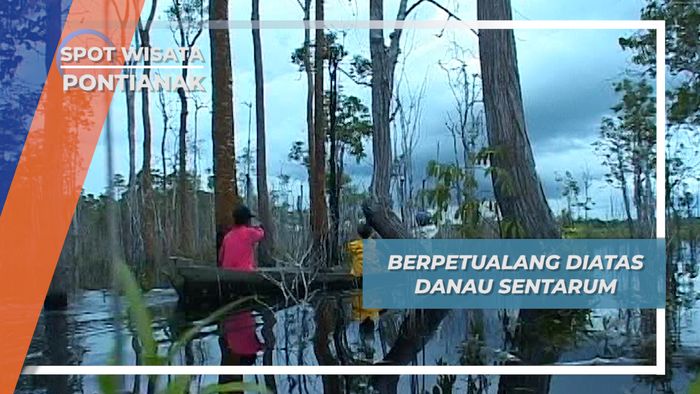 Menyusuri Danau Sentarum Mencari Kulan, Bahan untuk Membuat Anyaman, Pontianak