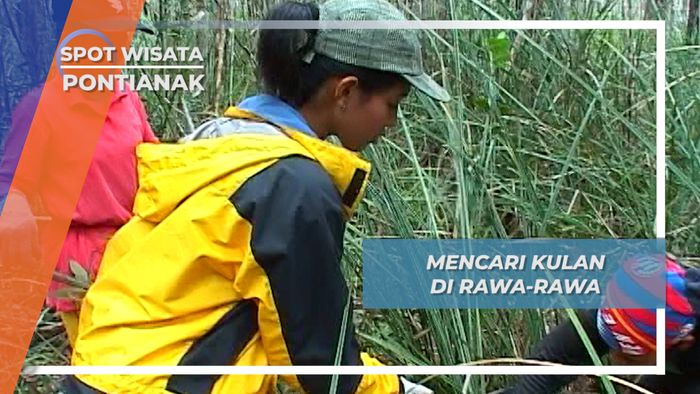 Kaos Kaki dan Sarung Tangan, Tameng untuk Menghindari Duri Kulan, Pontianak