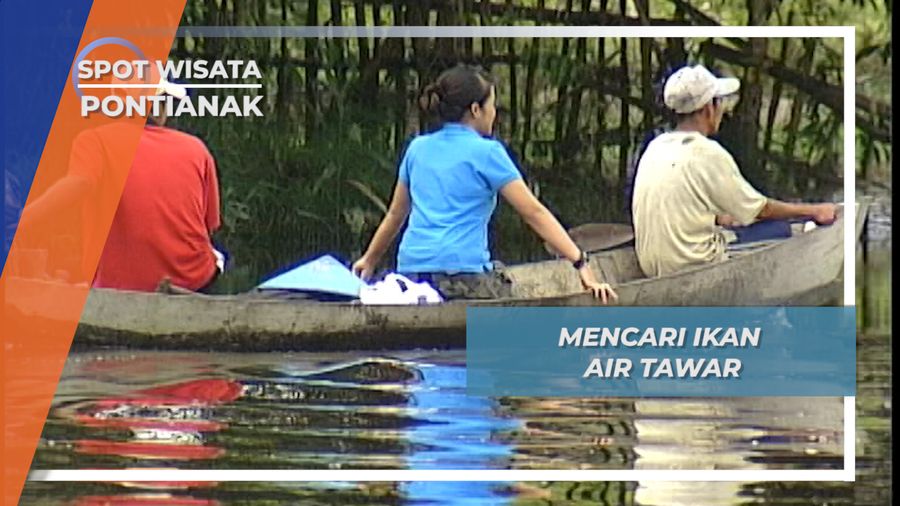 Mengarungi Danau Menerobos Hutan, Perjuangan Berburu Ikan di Danau Sentarum, Pontianak