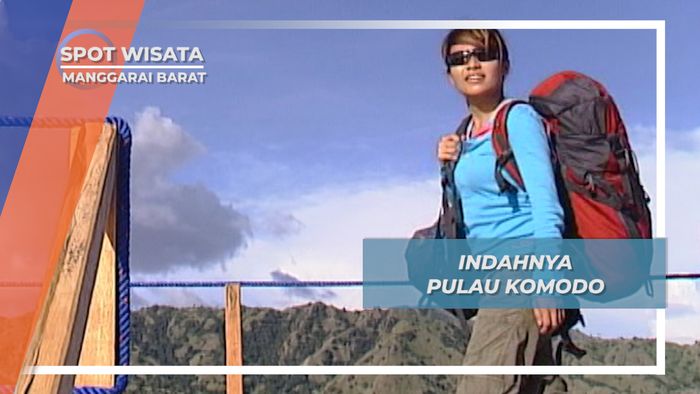 Labuan Bajo, Bertemu Reptil Raksasa Pulau Komodo Manggarai Barat