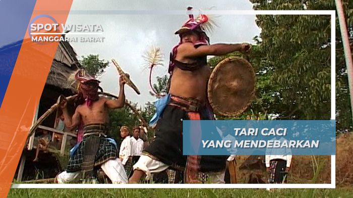 Tari Caci, Pertarungan Atrasi Pecut Penyambut Tamu Desa Liang Ndara Manggarai Barat
