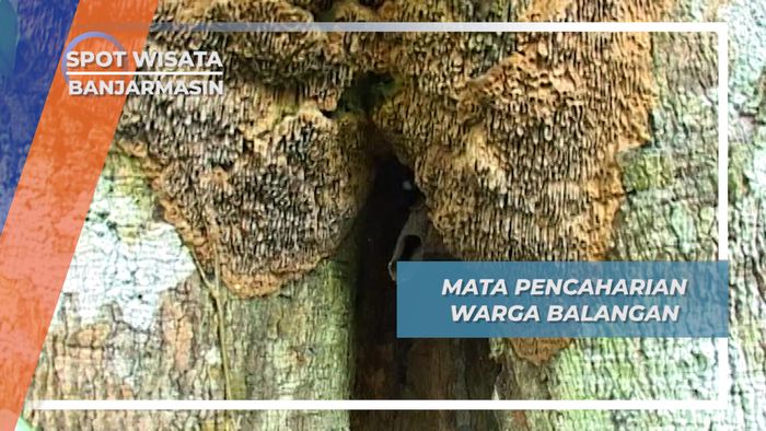 Mata Pencaharian Warga Balangan, Banjarmasin