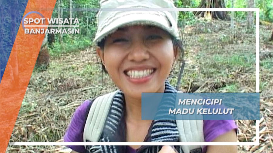 Madu Kelulut, Manis Asam dari Alam Banjarmasin