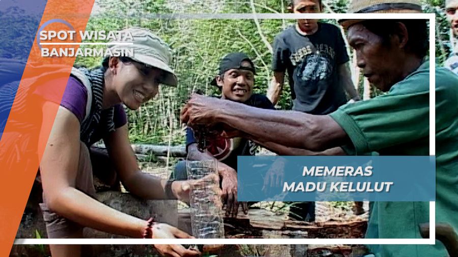 Madu Kelulut Makin Lama Disimpan Semakin Berkasiat, Banjarmasin Kalimantan Selatan