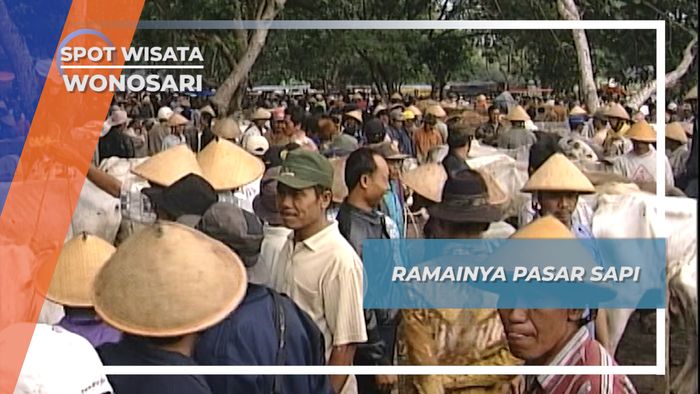 Si Rebo Akan Dijual Hari Kliwon Di Pasar Sapi Wonosari 