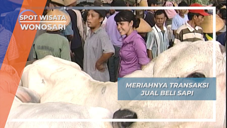 Jual Beli Pasar Ternak Yang Ramainya, Tapi Hati-Hati Diseruduk Sapi Wonosari