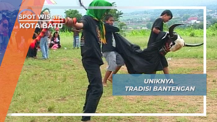 Tradisi Bantengan, Simbol Gotong Royong dan kekuatan Kokoh Kota Batu Jawa Timur