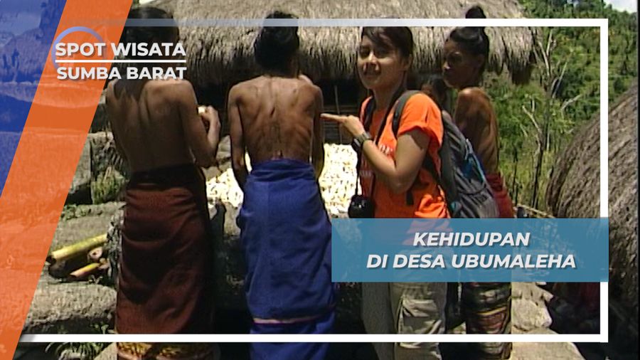 Desa Ubumaleha, Salah Satu Warna dari Seribu Warna Budaya Sumba Barat 