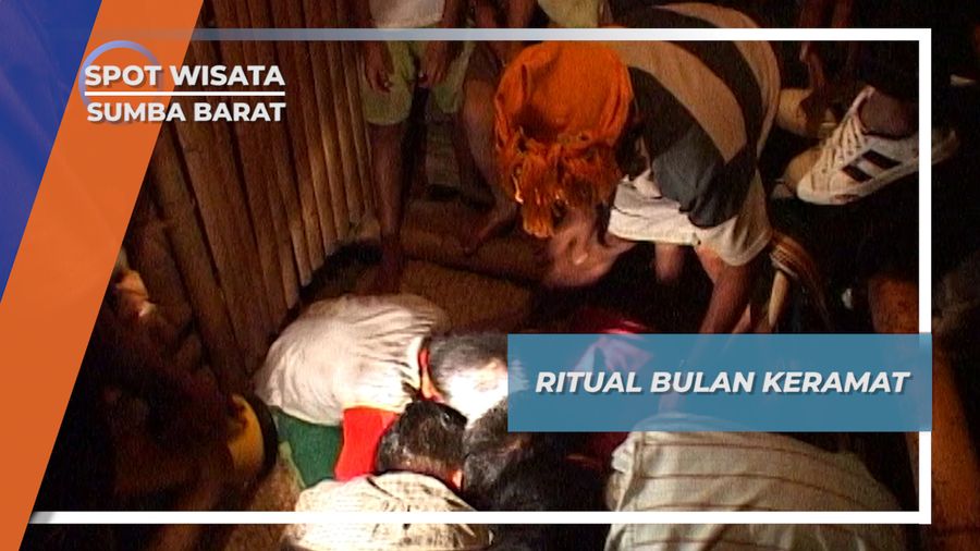 Tradisi Wulapodu, Mengkeramatkan Bulan Desa Tebara Waikabubak, Sumba Barat