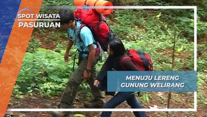 Menjelajah Lereng Gunung Welirang, Nanjak Tipis-Tipis Di welirang Jawa Timur 