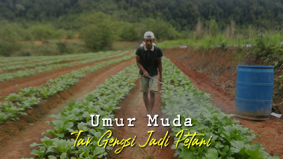 Cerita Anak Perbatasan, Petani Yes Kantoran No