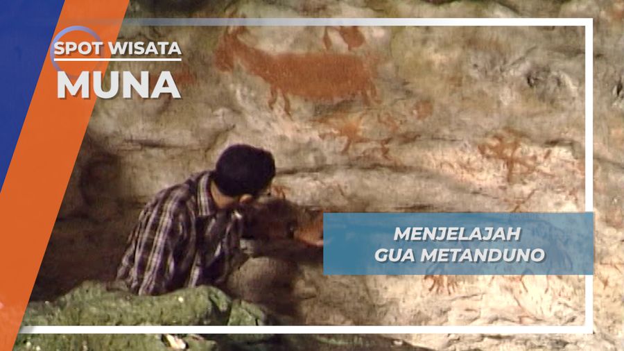 Gua Alam Metanduno, 310 Gambar Kehidupan Lampau Pulau Muna