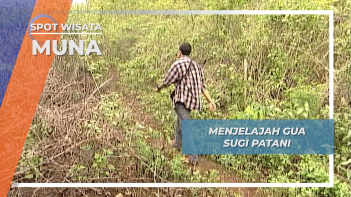 Gua Sugi Patani, Rahasia Penemuan Layang-Layang Tertua di Dunia, Ada di Pulau Muna