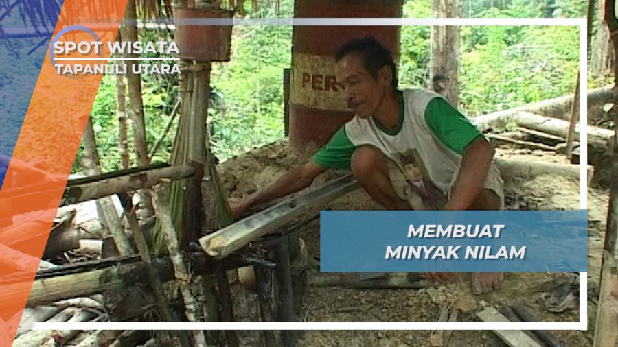 Membuat Minyak Nilam Dusun Hopong Desa Doloksanggul Tapanuli Utara