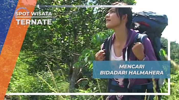 Bermalam Di Pos Pengintai Bidadari Halmahera di Tobelo 