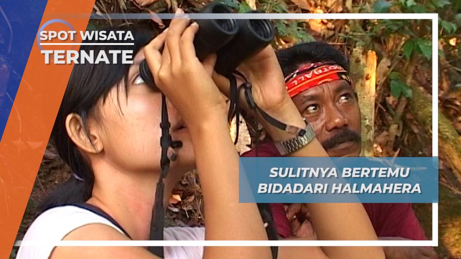 Belum Jodoh Bertemu Bidadari Halmahera Bukit Tanah Putih