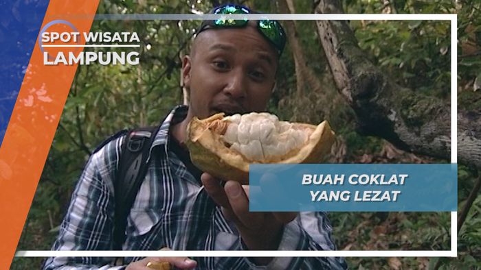 Buah Coklat, Salah Satu Kekayaan Alam di Kiluan, Lampung