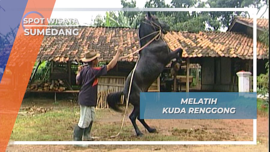 Latihan Menari Si Kuda Renggong Sumedang