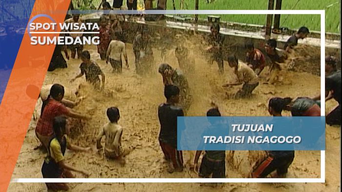 Saling Siram Air Kolam Mewarnai Keceriaan Tradisi Ngagogo, Sumedang