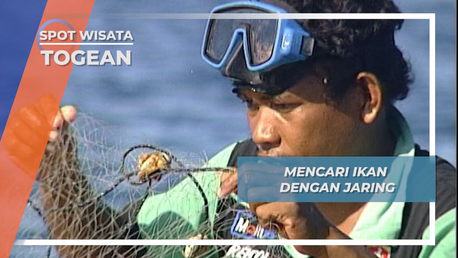 Bapukat, Suku Bajo Menjaring Ikan Pulau Kabalutan Togean Sulawesi Tengah