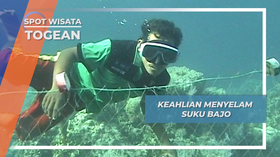 Keahlian Selam Suku Bajo, Warisan Budaya Yang Mengakar Kuat Di Togean Sulawesi Tengah