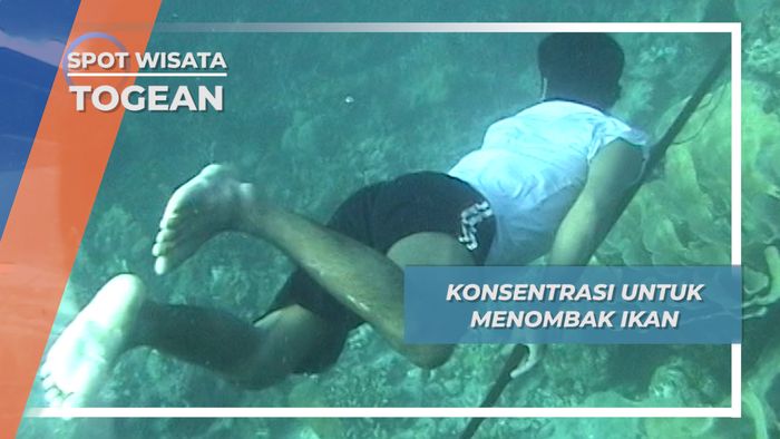 Bapana, Suku Bajo Menombak Ikan 5 Meter Di Bawah Laut Togean Sulawesi Tengah