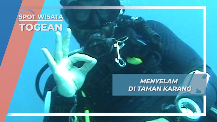 Taman Karang Bawah Laut Togean, Keindahan Alam Laut Sulawesi Tengah
