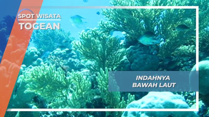Segitiga Koral, Laut Kepulauan Togean yang Penuh Keindahan, Sulawesi Tengah
