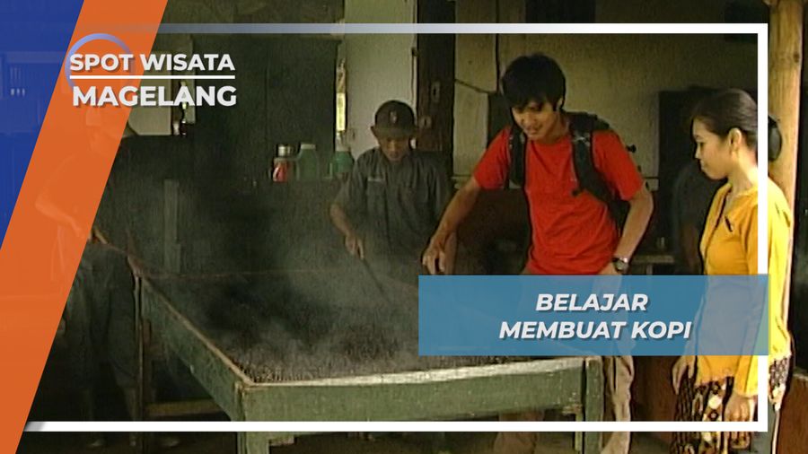 Kebun Kopi Losari, 12 Hektar Kebun yang Menghasilkan Kopi Tradisional, Magelang
