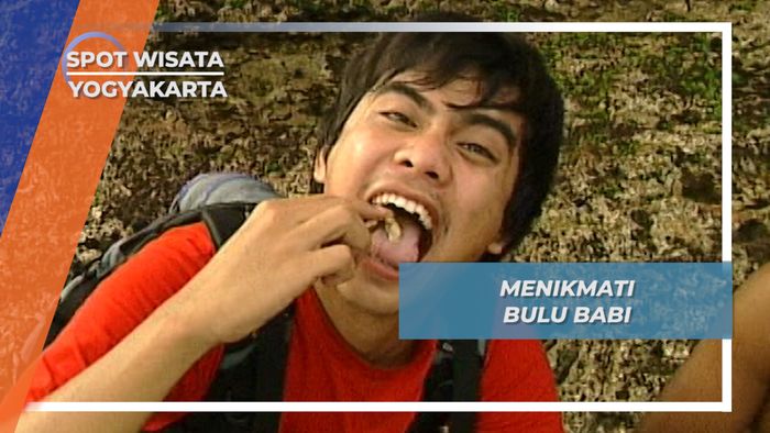 Mengecap Pertama, Rasa Bulu Babi Pantai Laut Selatan Yogyakarta 