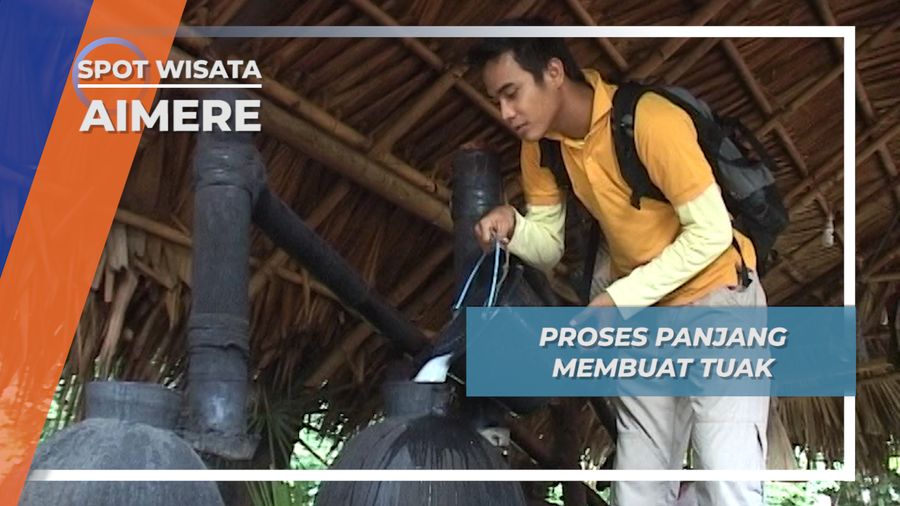 Tetes Pertama Moke, Tuak Ene Lewa Aimere Kabupaten Ngada Flores