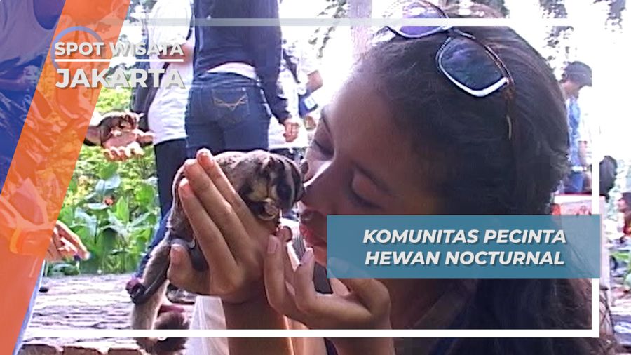 Kopdar Siang Komunitas Pecinta Hewan Malam Jakarta