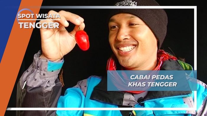 Lombok Terong Tengger, Desa Wonokitri Tosari Pasuruan, Pedasnya Dijamin