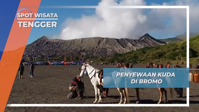 Menyewa Kuda Melalui Lautan Pasir Bromo Tengger