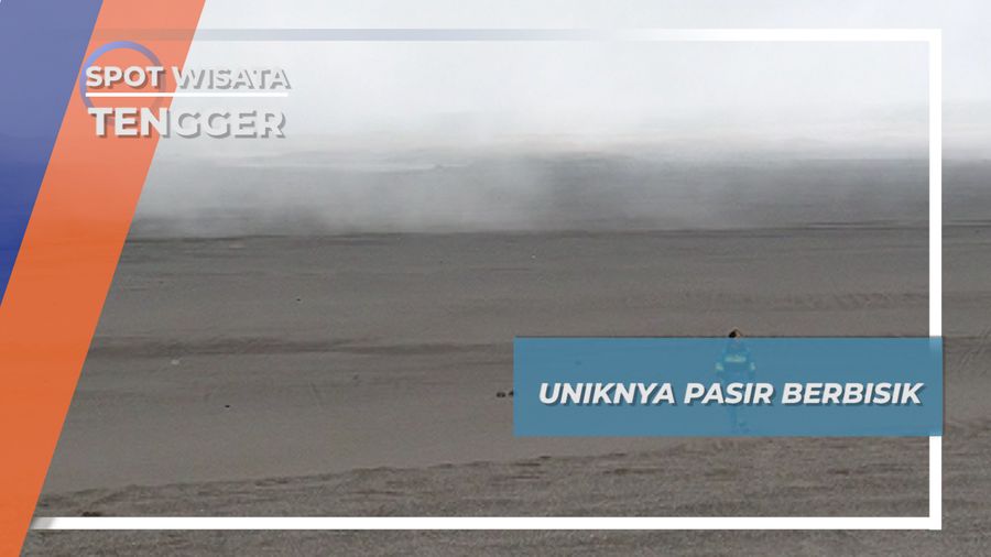 Mendengar Bisikan Pasir Berbisik Saat Musim Kemarau Dan Angin Kecang Di Bromo