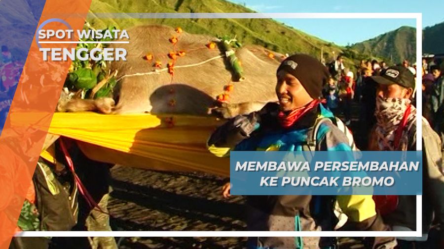 Lelabuhan, Membawa Persembahan ke Puncak Bromo Tengger