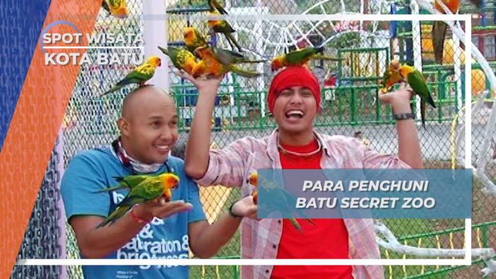 Bertemu Burung-Burung Cantik Di Kota batu