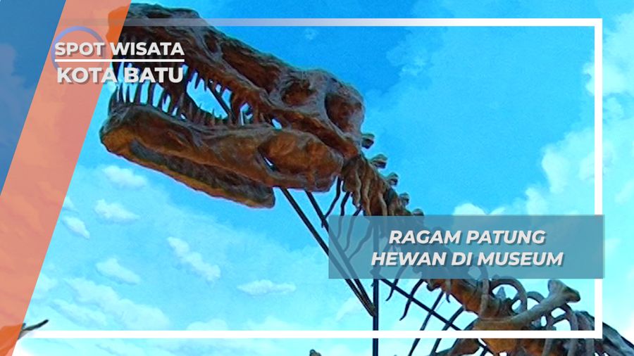 Diorama Indah bak Hadir Di Habitat  Asli Satwa, ada Di Kota Batu